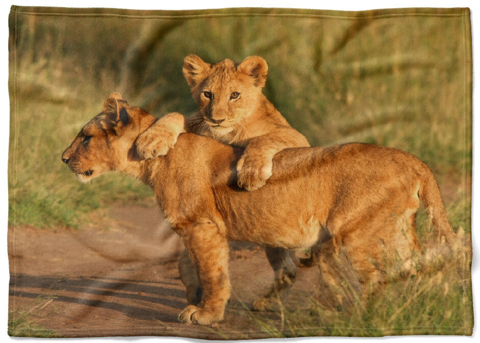 Deka Levíčatá (Rozmer: 150 x 120 cm, Podšitie baránkom: NE)