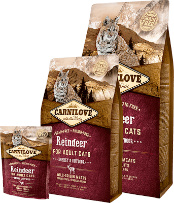 Carnilove Reindeer for Adult Cats – Energy & Outdoor