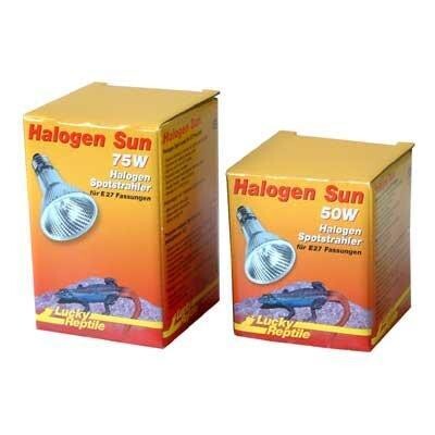 Lucky Reptile Halogen Sun