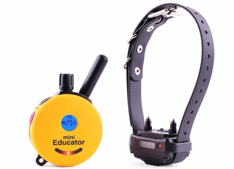 E-collar Educator ET-300