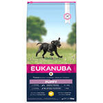 EUKANUBA Puppy & Junior Large Breed