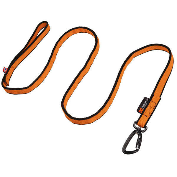 Bungee leash