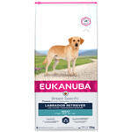 EUKANUBA Labrador Retriever