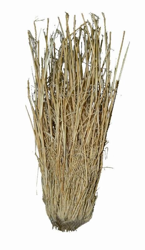 Lucky Reptile Grass Bushes 25-40 cm