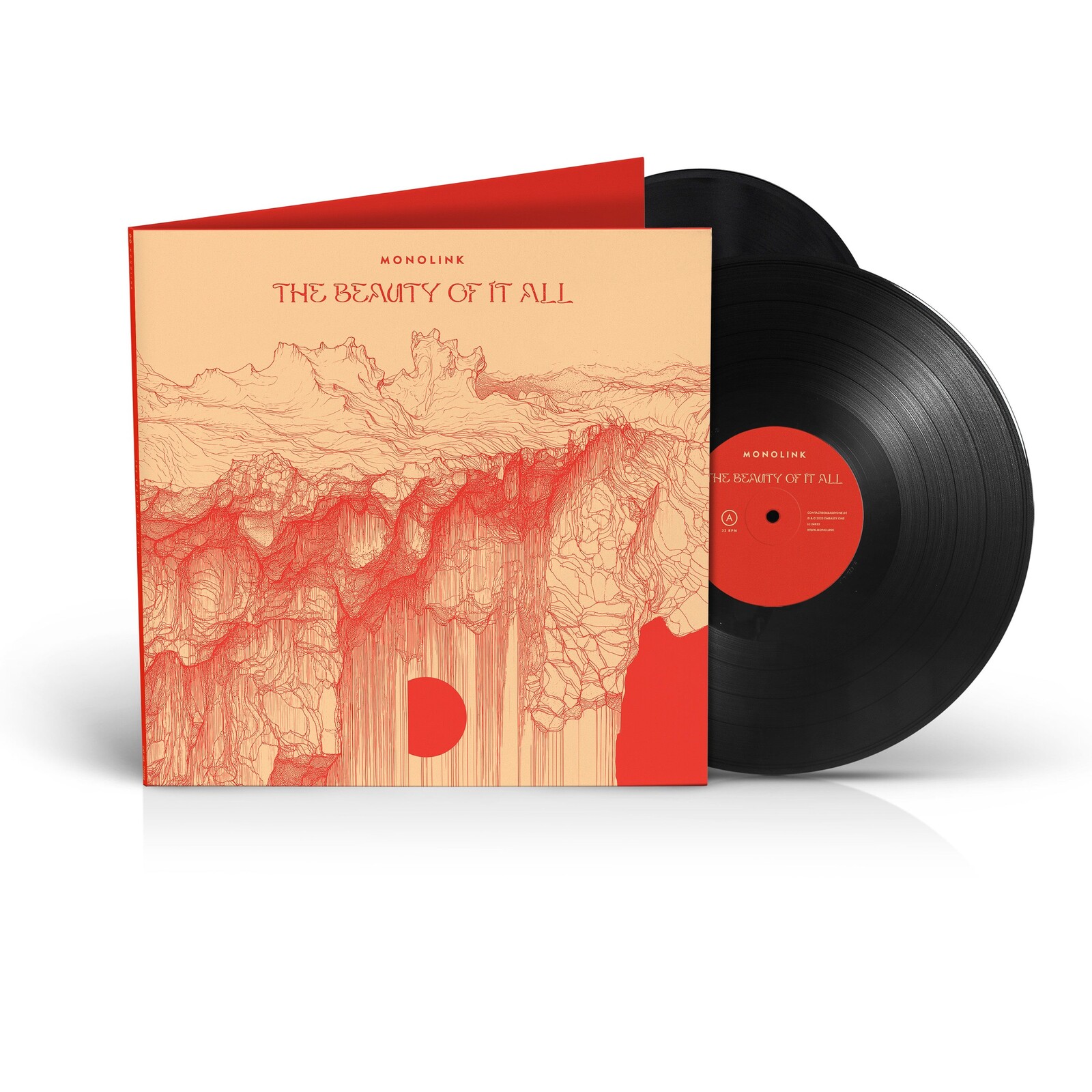 THE BEAUTY OF IT ALL