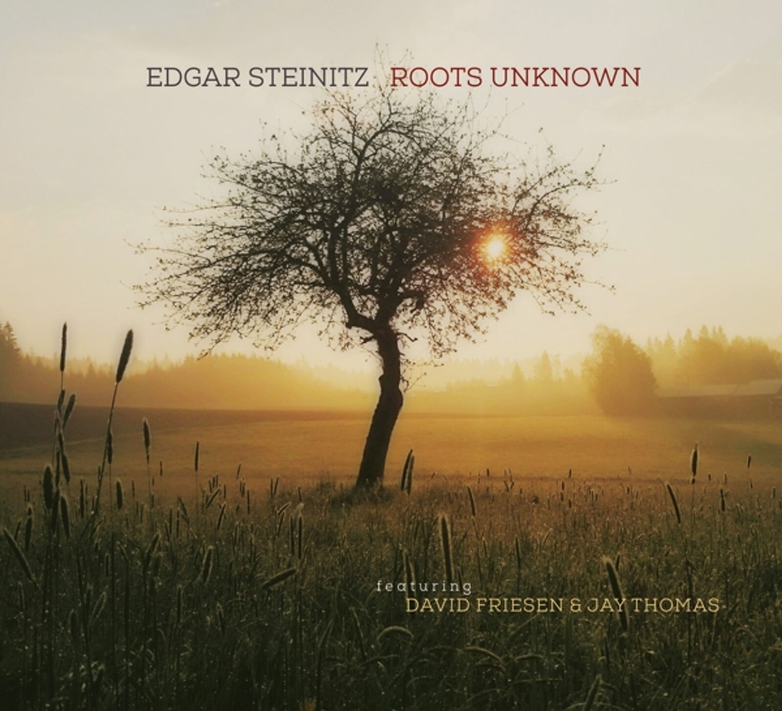 Edgar Steinitz, ROOTS UNKNOWN, CD