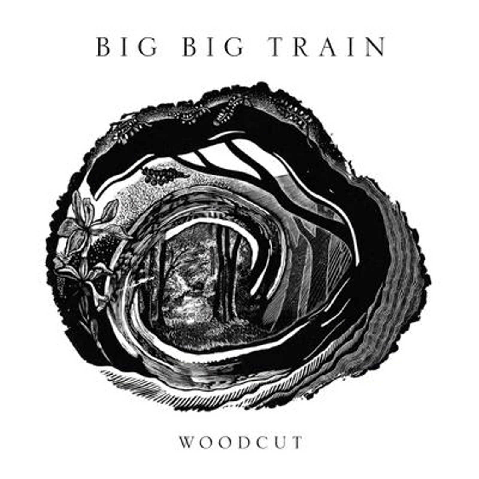 Big Big Train, Woodcut, CD