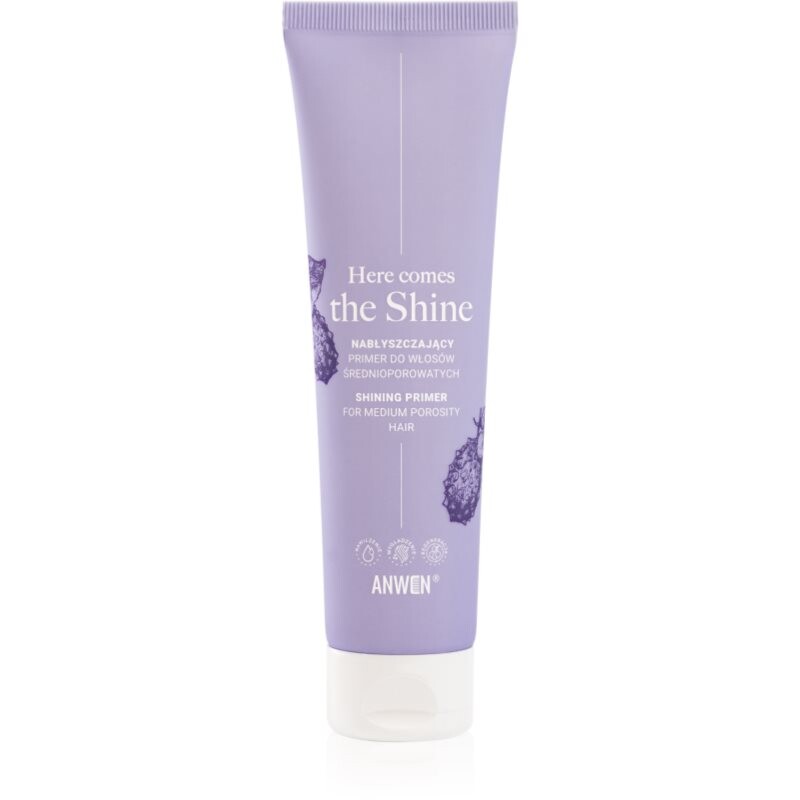 Anwen Here Comes The Shine Shining Primer For Medium Porosity Hair podkladová báza na vlasy 100 ml
