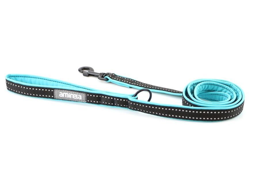 Aminela jednoduché vodítko podšité Sport & City 20mm/150cm, tyrkysová/černá