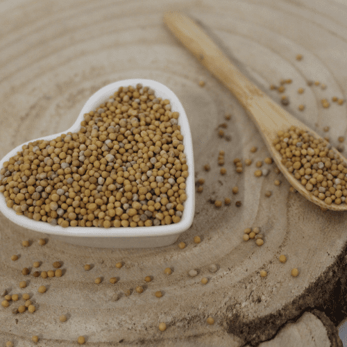 Horčica biela - semeno - Sinapis alba - Semen sinapis 50 g