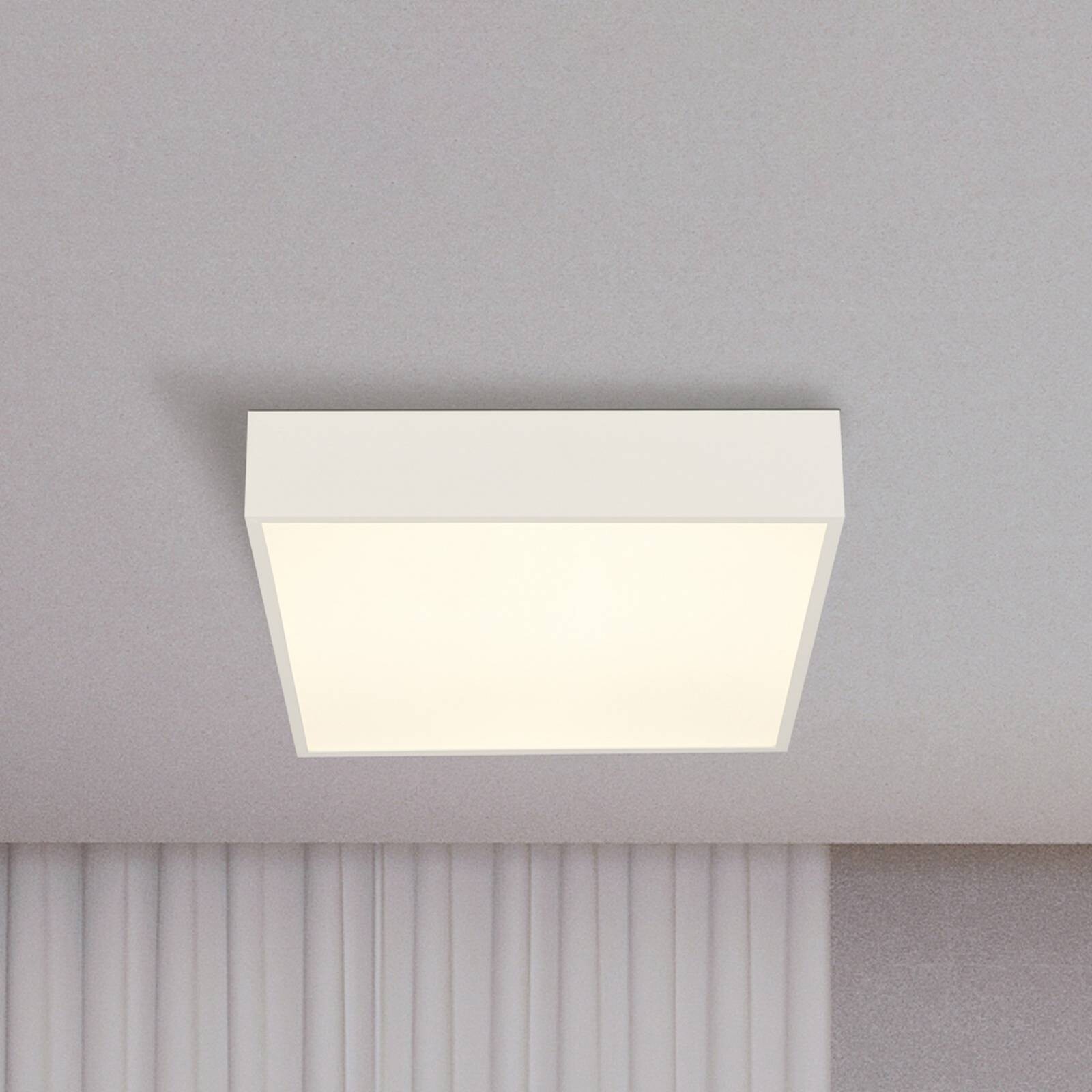 Stropné LED svetlo do kúpeľne Zeus, biele, dĺžka 30 cm, kovové