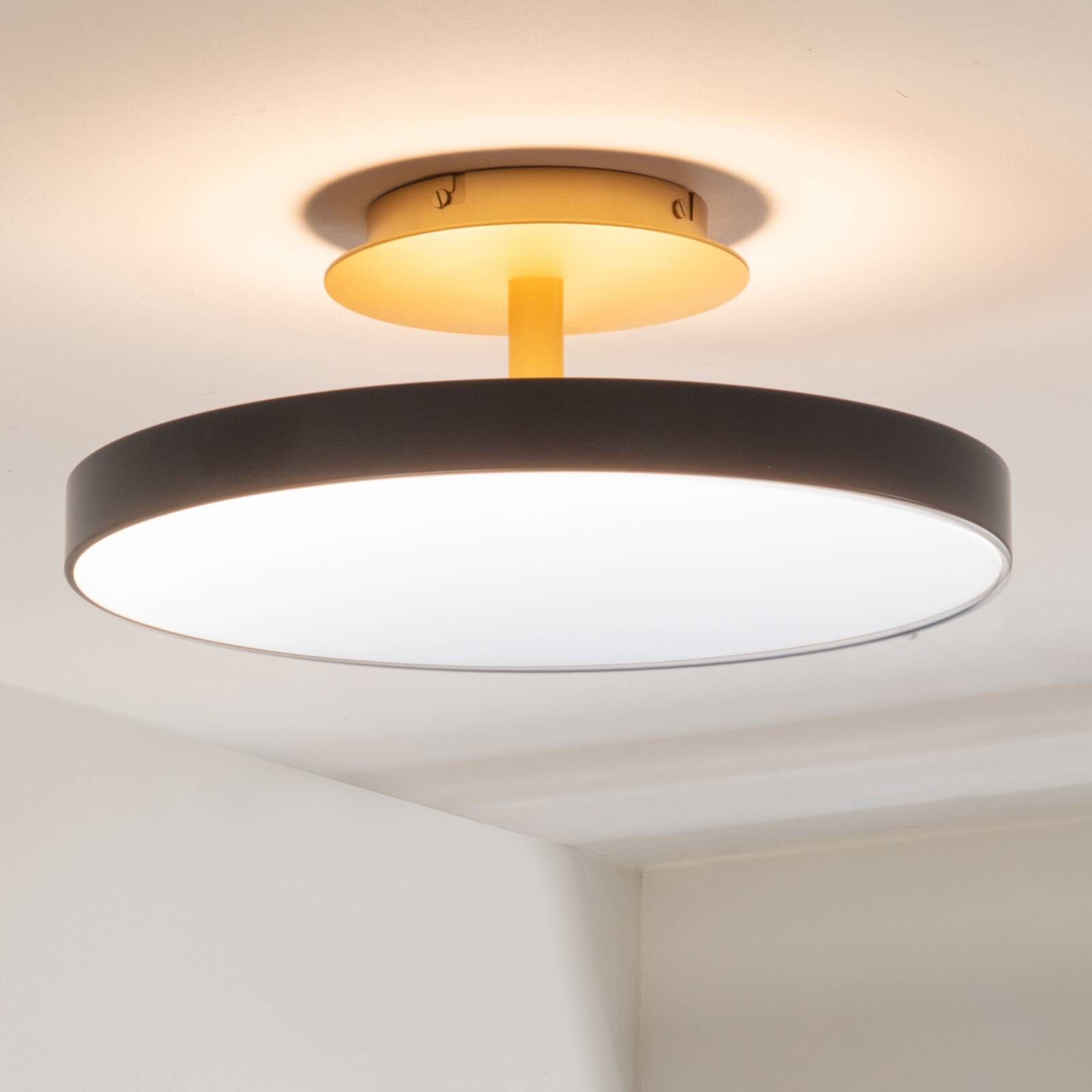 UMAGE stropné LED svetlo Asteria UP PLUS, antracit Ø 43 cm CCT