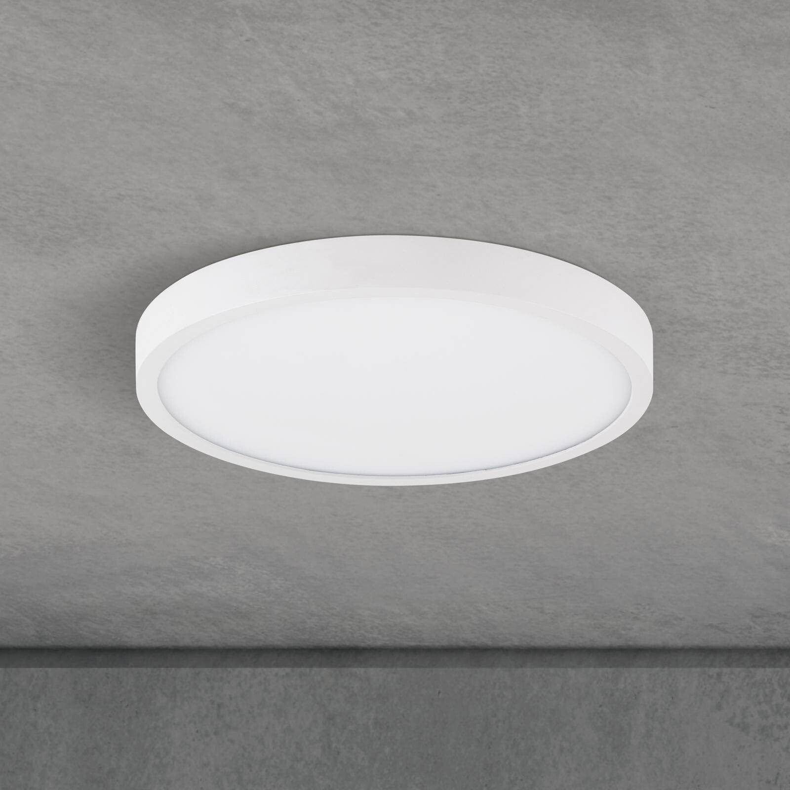 stropné LED svetlo Disc, biele Ø 24 cm, CCT, kov/plast