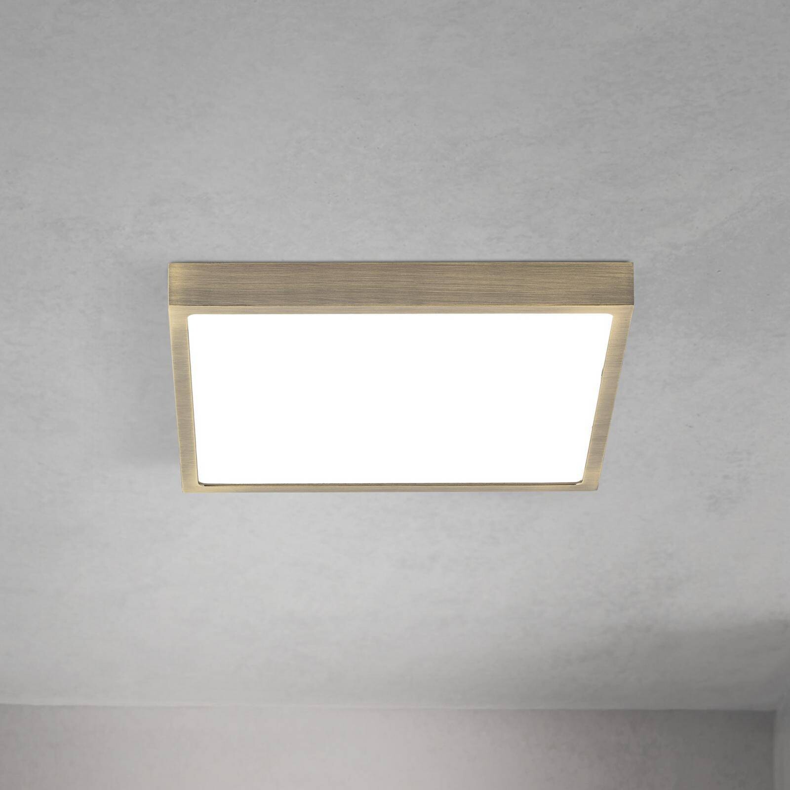 stropné LED svetlo Disc, antická mosadzová farba, dĺžka 24 cm, CCT