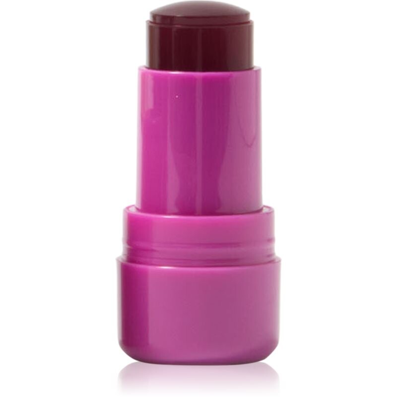 Technic Cosmetics Jelly Tint lícenka v tyčinke na pery a líca odtieň Berry Cool 9 g
