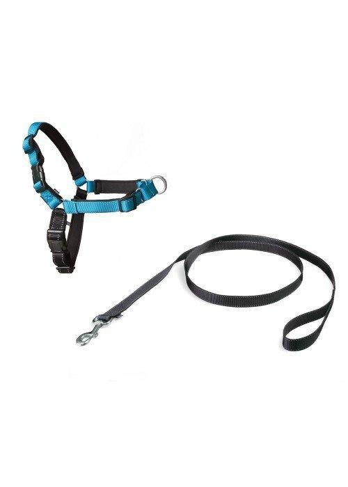 Postroj EasyWalk Deluxe, aqua blue