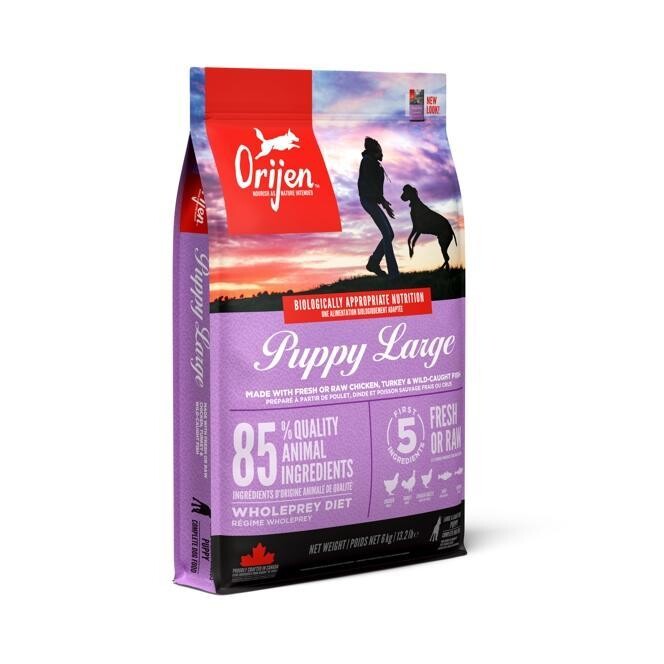 Granule ORIJEN PUPPY LARGE 6kg
