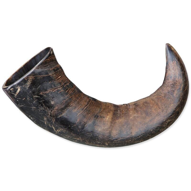 Pochoutka Trixie roh buvolí žvýkací