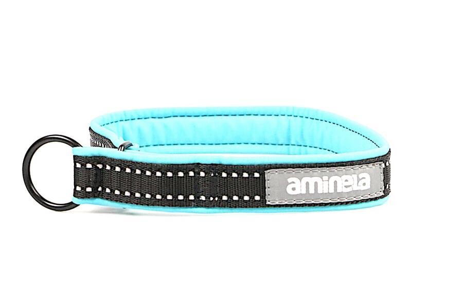 Aminela obojek polostahovací Sport & City 25mm/48cm + 5cm - tyrkysová