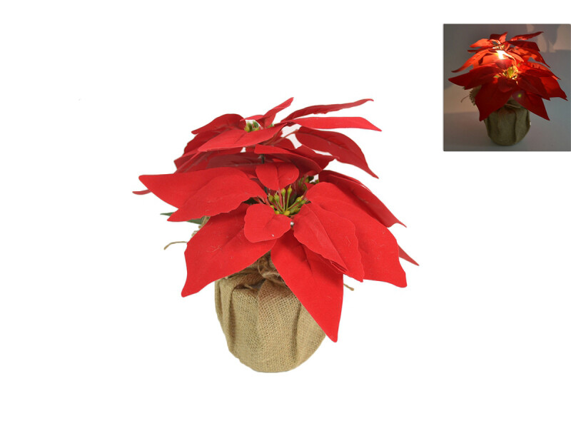 MAKRO - Ruža vianočná led svietiaca 25cm