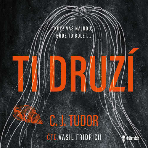 Ti druzí – 2. vydání - C. J. Tudor (mp3 audiokniha)