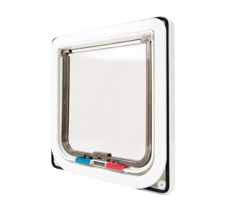 Zadní strana Reedog Large White