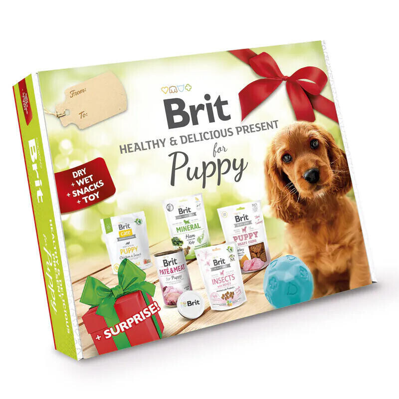 BRIT HEALTHY & DELICIOUS PRESENT FOR PUPPY 2023