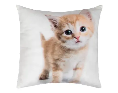 Dekoračný vankúšik Ryšavé mačiatko, 25x25 cm%
