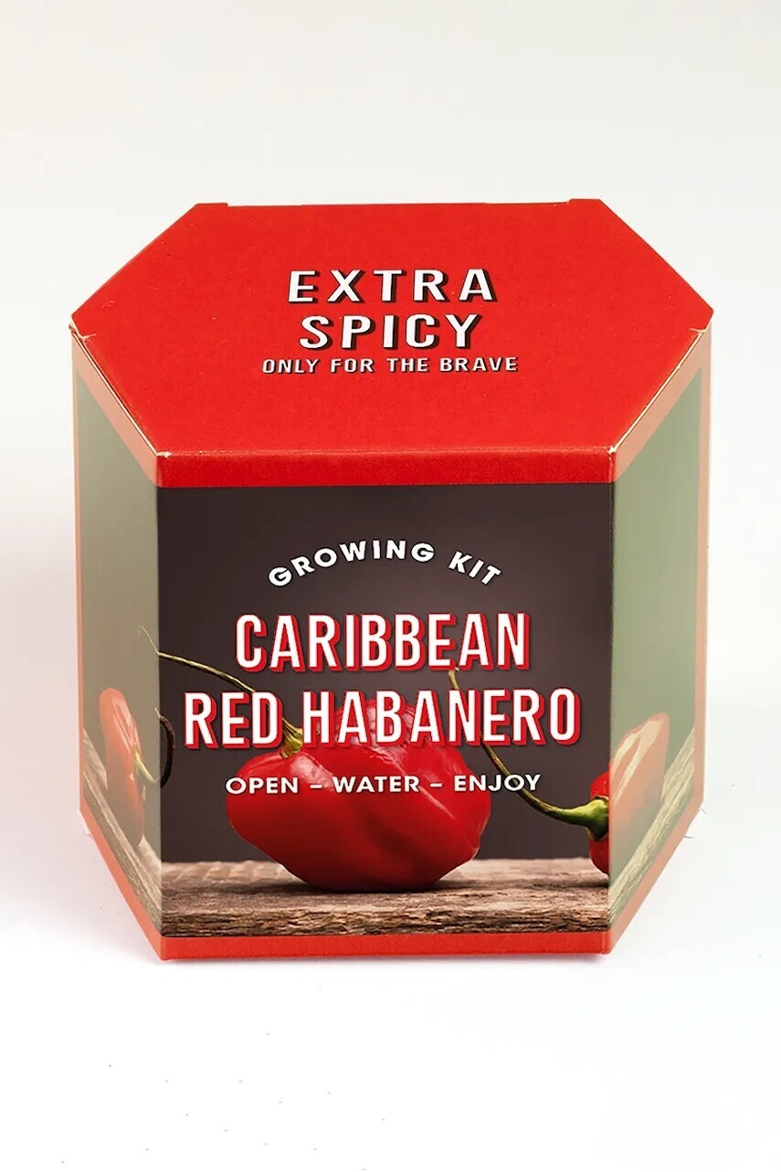 Sada na pestovanie rastlín RESETEA Caribbean Red Habanero 9,8 x 8,8 x 8,8 cm viac farieb