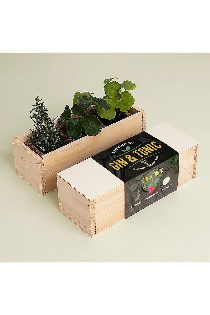 Sada na pestovanie rastlín RESETEA Gin Tonic Growing Kit 21 x 7,8 x 6,5 cm viac farieb