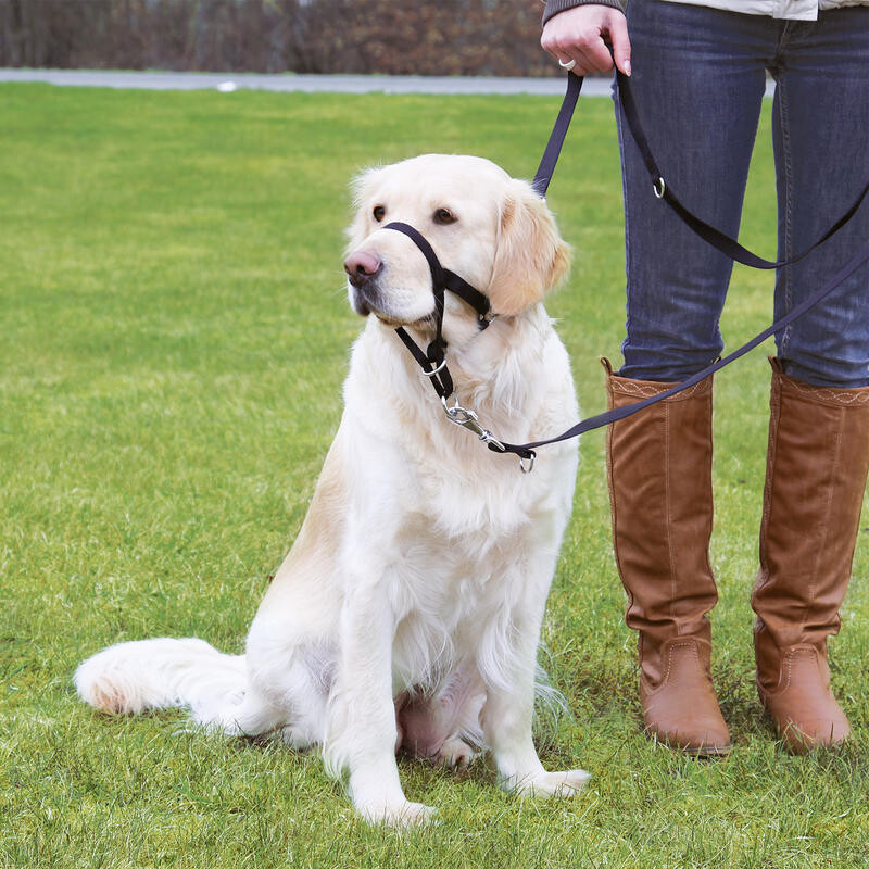 Výcvikový postroj TRIXIE Top Trainer