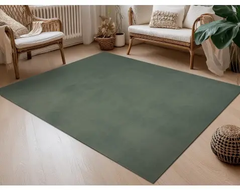 Koberec Albi 80x150 cm, zelený%