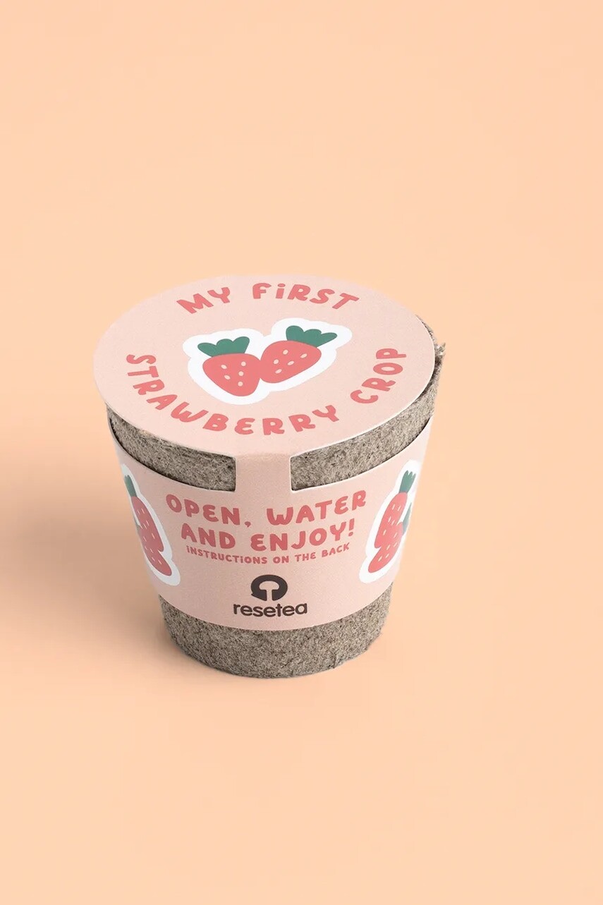 Sada na pestovanie rastlín RESETEA My First Strawberry 6,3 x 5,8 cm viac farieb