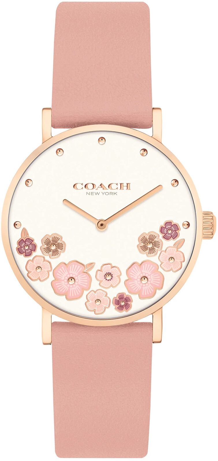 Coach Perry 14503769