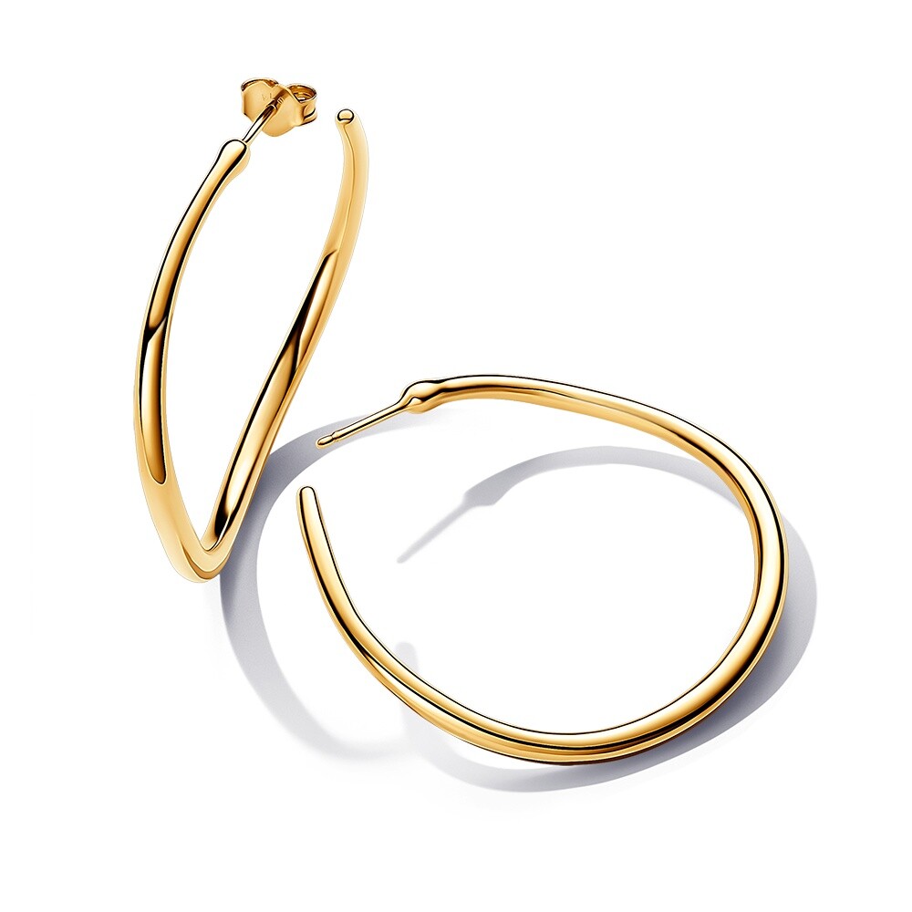 Pandora Pozlátené kruhové náušnice Essence Shine 263299C00