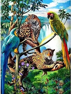 Norimpex Papagáje a leopardy 30 × 40 cm