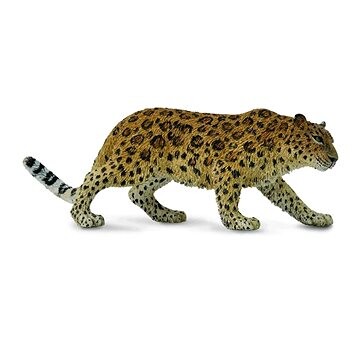 Collecta leopard mandžuský