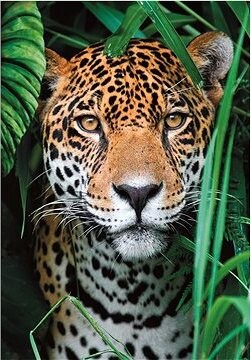 CLEMENTONI Jaguár v džungli 500 dielikov