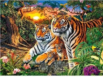 Castorland Puzzle Tigria rodina 2000 dielikov