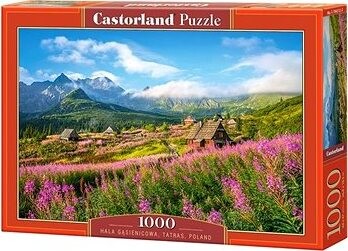 CASTORLAND Puzzle Dolina Gąsienicowa, Tatry 1000 dielikov