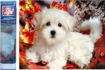 Norimpex Biele šteňa 30 × 40 cm