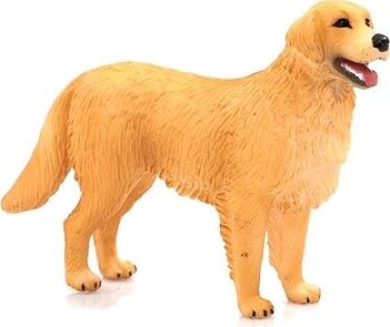 Mojo – Zlatý retríver