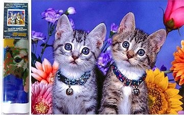 Norimpex Dve mačiatka 30 × 40 cm