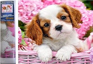 Norimpex Šteňa v ružovom košíku 30 × 40 cm