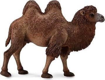 Collecta ťava dvojhrbá