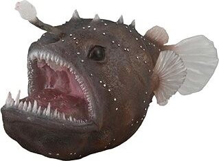 Collecta morský diabol