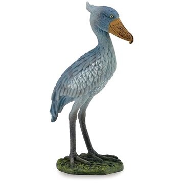 Collecta Člnozobec africký