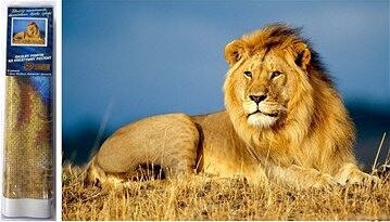 Norimpex Leví majestát 30 × 40 cm