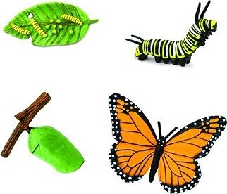 Animal Life Životný cyklus Motýľa