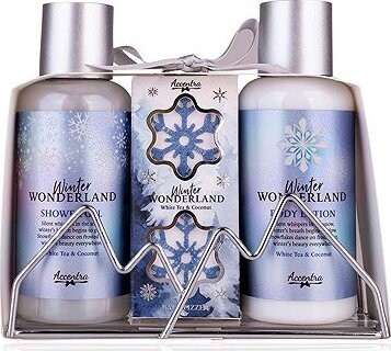ACCENTRA Winter Wonderland v drôtenom stojane 200 ml
